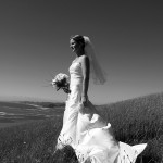 BHT_0239 bw